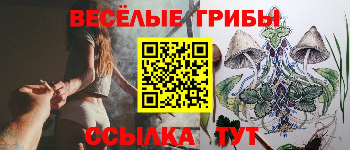 Лангепас  Псилоцибиновые грибы MAGIC MUSHROOMS  Вход с VPN  Псилоцибиновые грибы MAGIC MUSHROOMS 